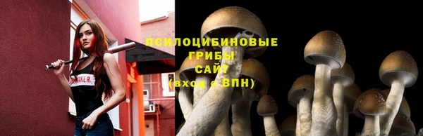mix Абинск
