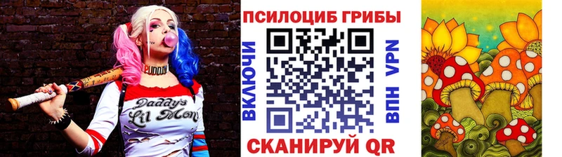 Псилоцибиновые грибы прущие грибы  Емва 